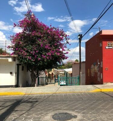a walk around Oaxaca Centro